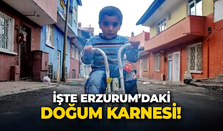 İşte Erzurum’daki doğum karnesi