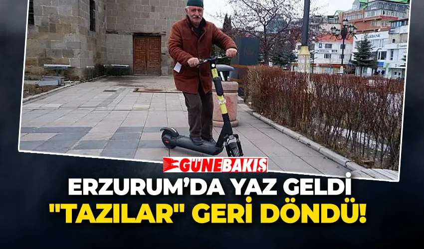 Yaz Geldi 