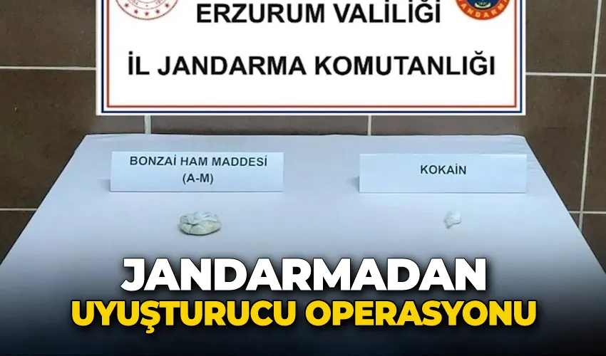 Jandarmadan uyuşturucu operasyonu