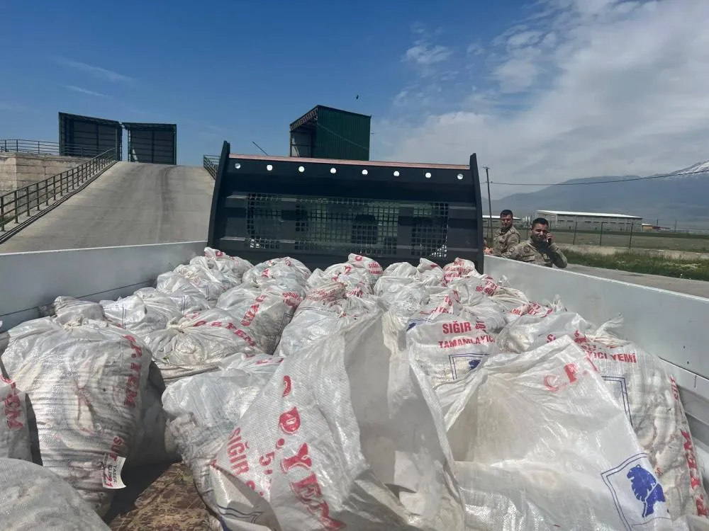 Ağrı