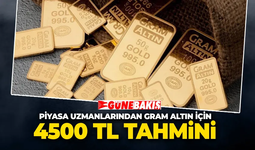Piyasa Uzmanlarından Gram Altın İçin 4500 TL Tahmini