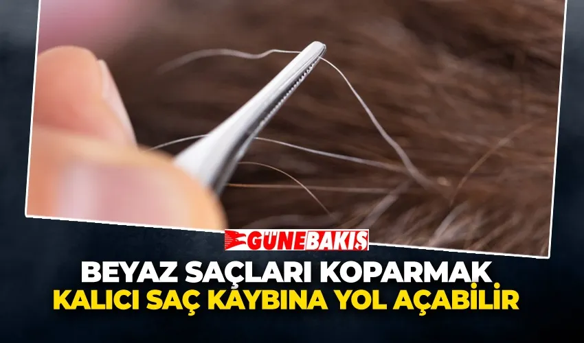 Beyaz Saçları Koparmak Kalıcı Saç Kaybına Yol Açabilir