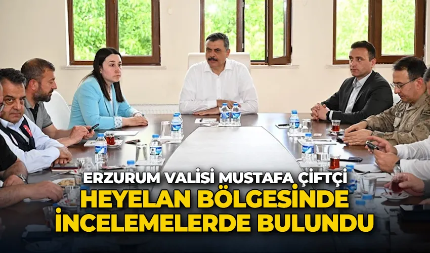 Vali Çiftçi, heyelan bölgesinde incelemelerde bulundu