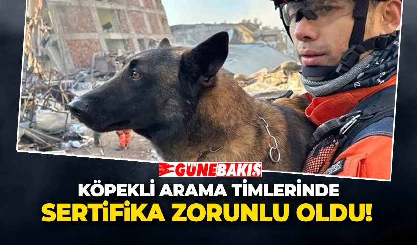 Köpekli Arama Timlerinde Sertifika Zorunlu Oldu! 