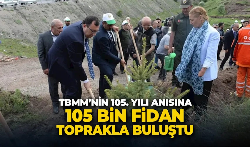 TBMM’nin 105. yılı anısına 105 bin fidan toprakla buluştu