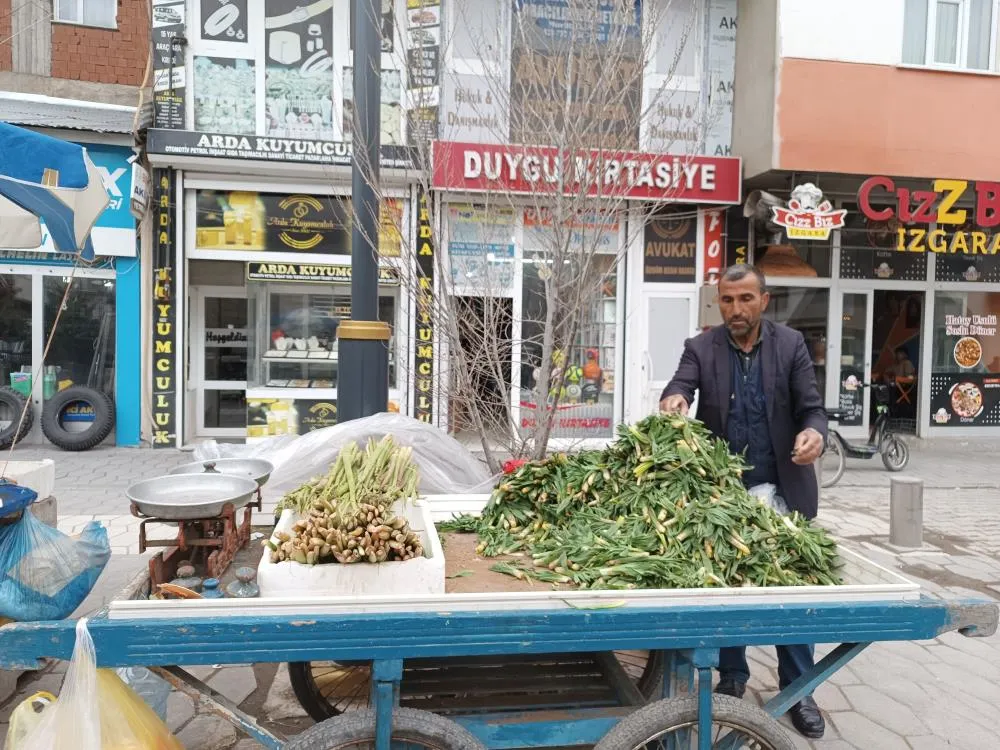 Baharın müjdecisi ışkın ve çiriş tezgahları süslüyor