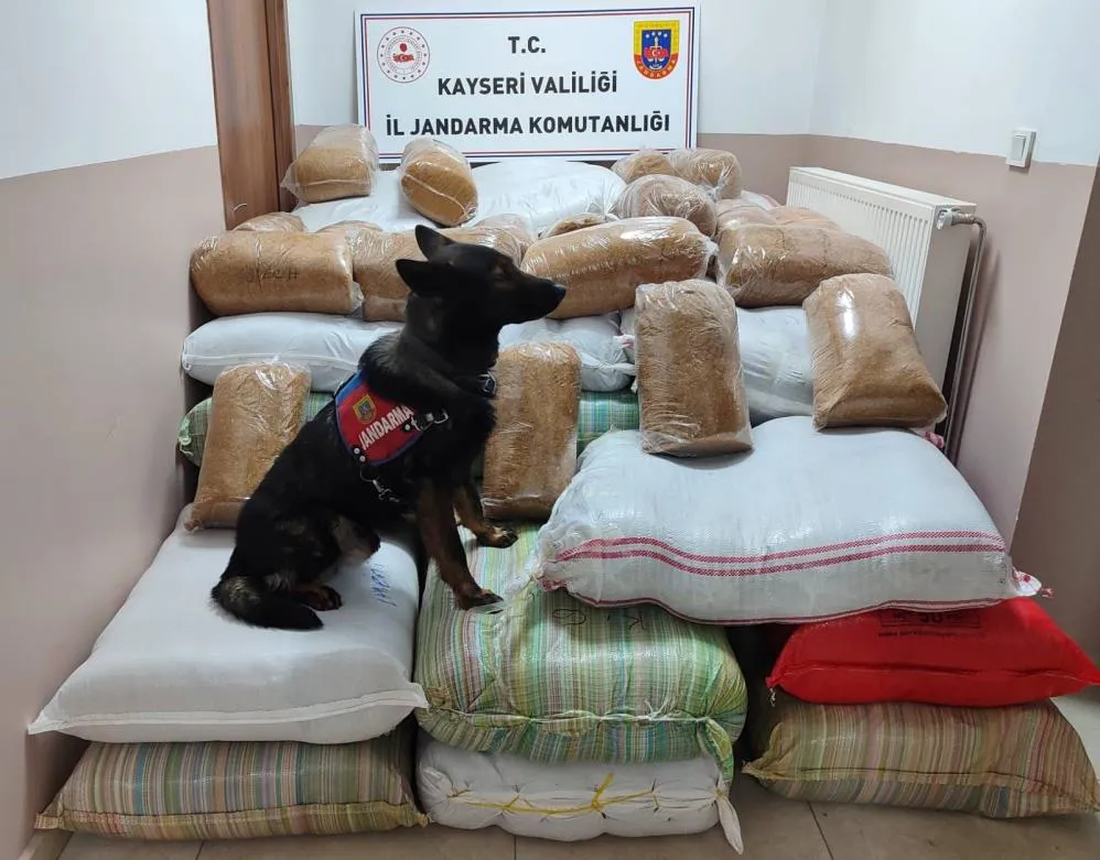 Yolcu otobüsünde 1 buçuk ton kaçak tütün yakalandı