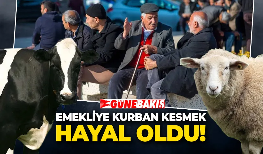 Emekliye Kurban Kesmek Hayal Oldu 