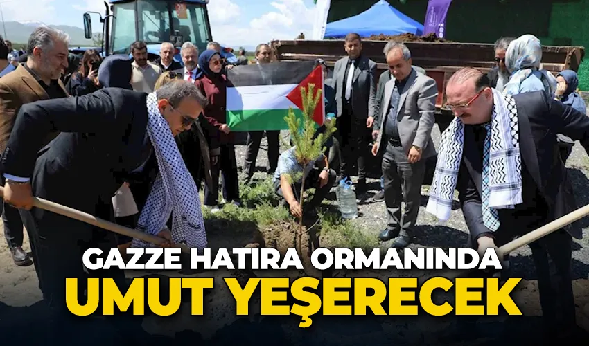 Gazze hatıra ormanında umut yeşerecek