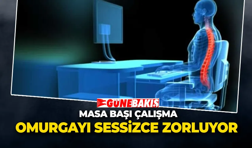 Masa Başı Çalışma Omurgayı Sessizce Zorluyor