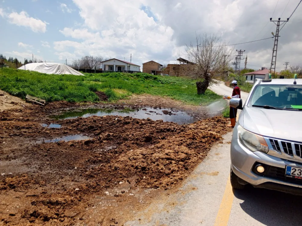 Elazığ’da larva ilaçlama çalışmaları sürüyor