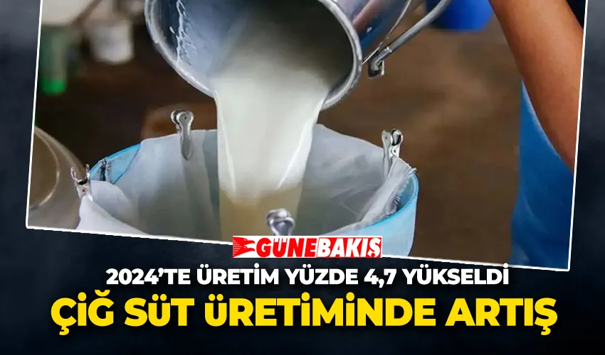 Çiğ Süt Üretiminde Artış: 2024’te Üretim Yüzde 4,7 Yükseldi