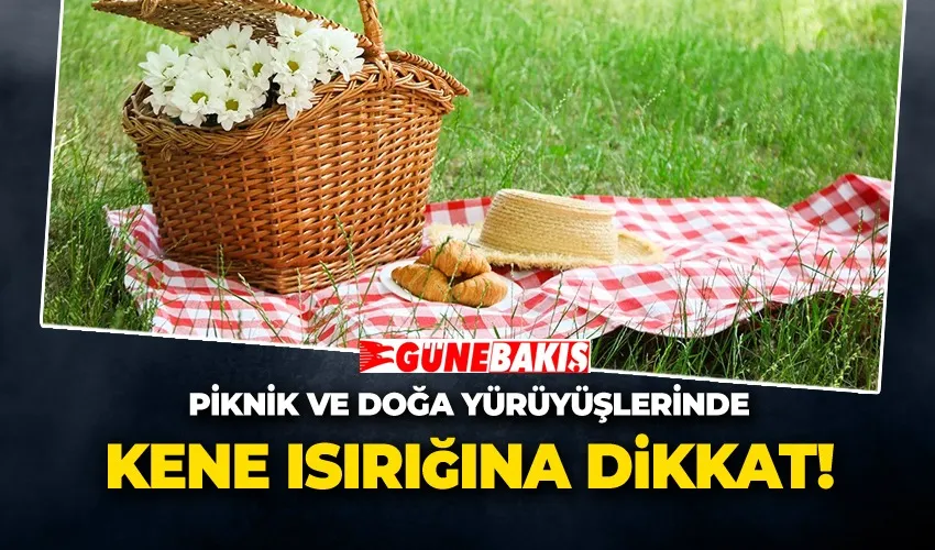 Piknik ve Doğa Yürüyüşlerinde Kene Isırığına Dikkat!