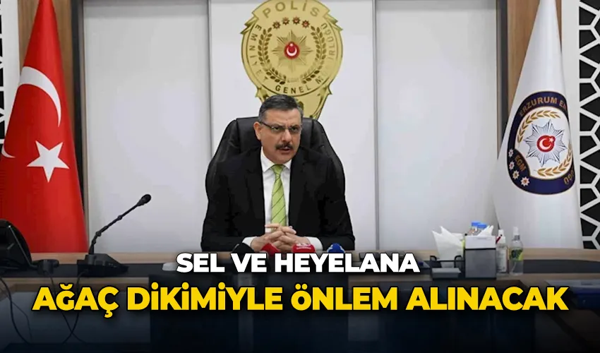 Sel ve heyelana ağaç dikimiyle önlem alınacak