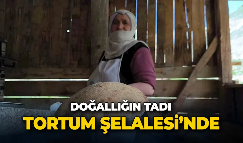Doğallığın tadı Tortum Şelalesi’nde