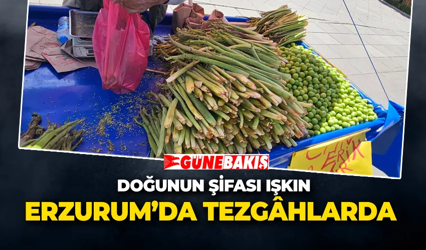Doğunun Şifası Işkın Erzurum’da Tezgâhlarda