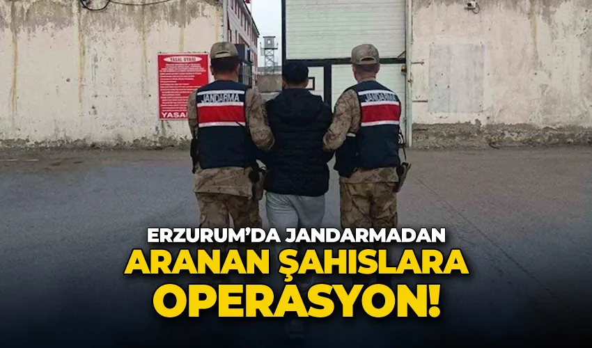 Erzurum’da jandarmadan aranan şahıslara operasyon