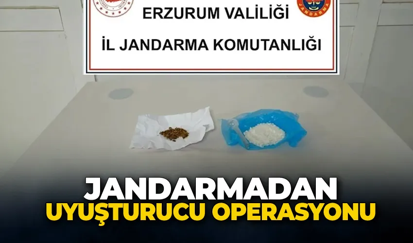 Jandarmadan uyuşturucu operasyonu