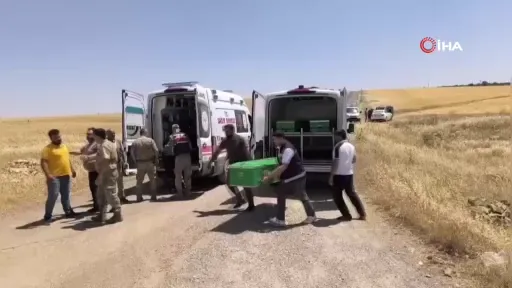 Yeğenini kurtarmaya çalışan amca boğuldu