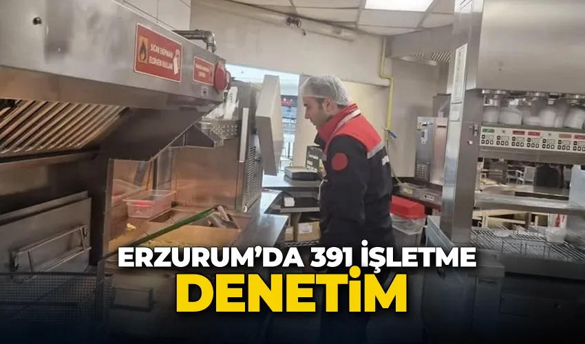 Erzurum’da 391 işletme denetim