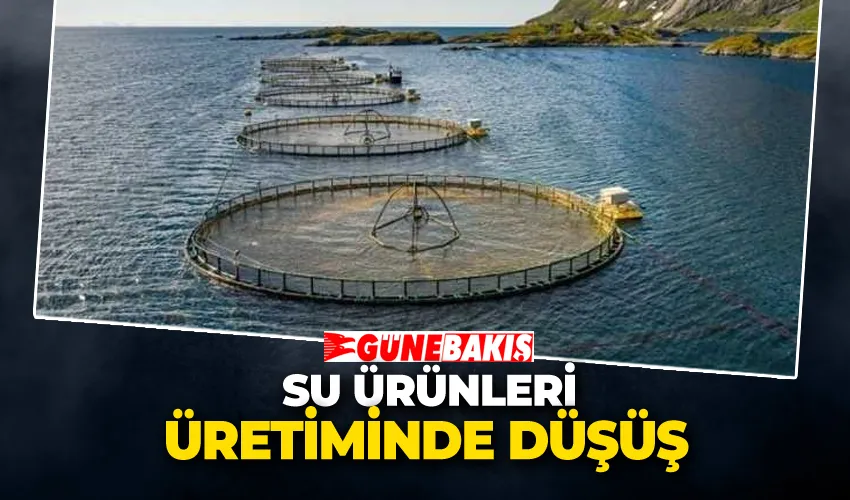 Su Ürünleri Üretiminde Düşüş