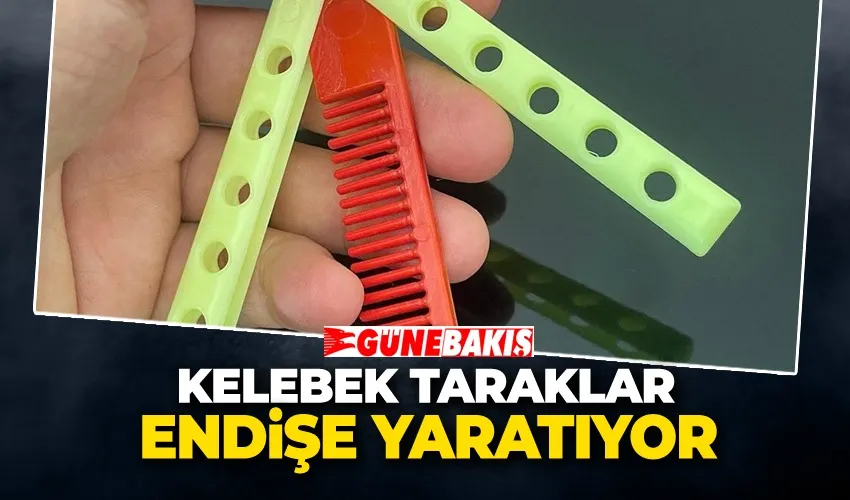 Çocukların Elindeki Tehlike   Kelebek Taraklar Endişe Yaratıyor