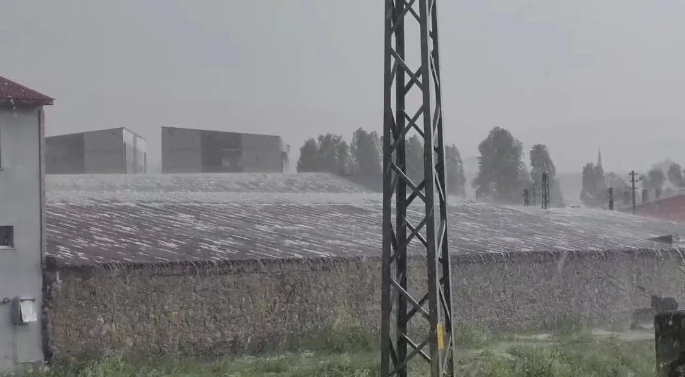 Sarıkamış