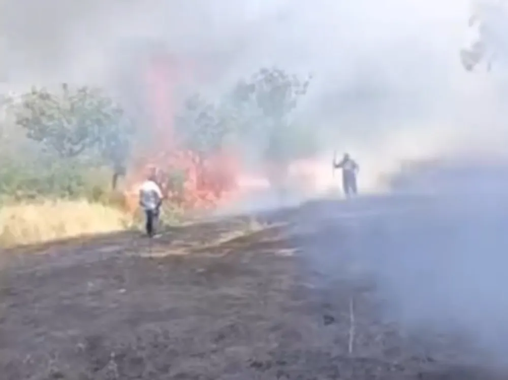 Siirt’te çay için yakılan ateş fıstık ağaçlarını küle çevirdi