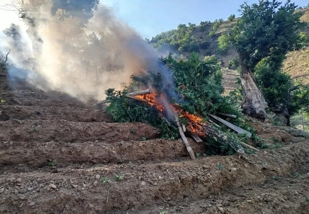 Bingöl