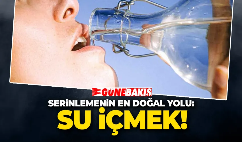 Sıcak Havalarda Serinlemenin En Doğal Yolu: Su İçmek