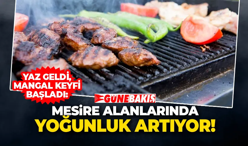 Yaz Geldi, Mangal Keyfi Başladı: Mesire Alanlarında Yoğunluk Artıyor