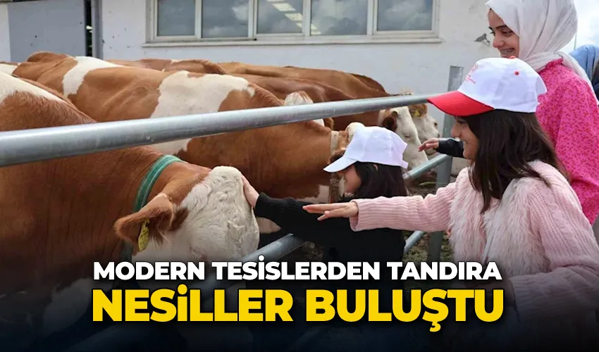 Aileyle üretim yolculuğu: Modern tesislerden tandıra, nesiller buluştu