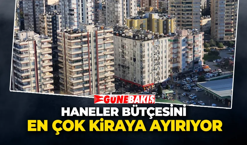 Haneler Bütçesini En Çok Kiraya Ayırıyor