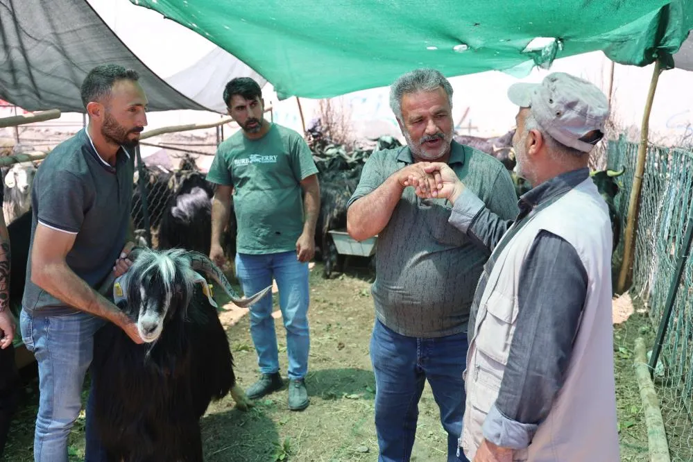 Elazığ’da 