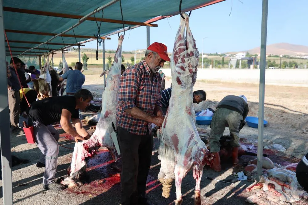 Elazığ