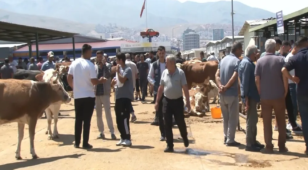 Malatya Canlı Hayvan Pazarı