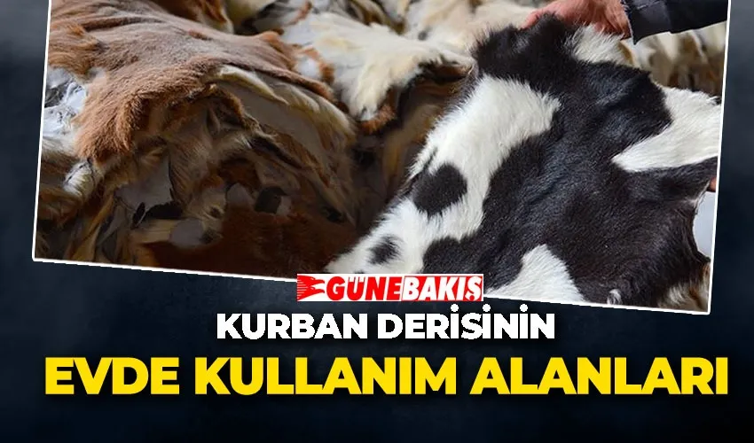 Kurban Derisinin Evde Kullanım Alanları