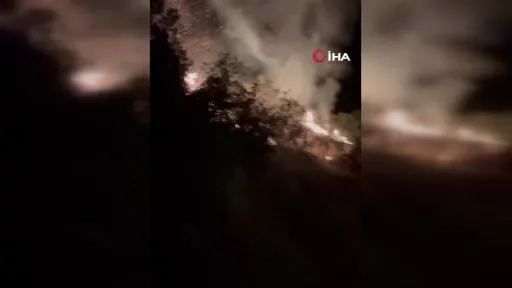 Nazilli’deki orman yangını kontrol altına alındı