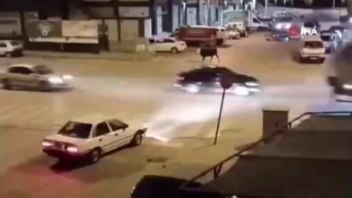 Konya’da firari boğa ortalığı birbirine kattı