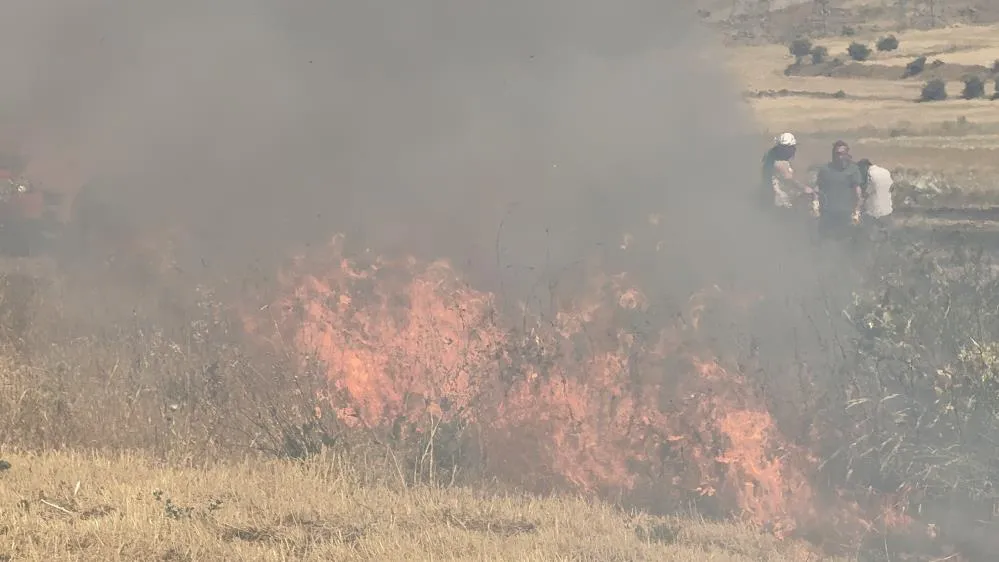 Tatvan’da örtü yangını