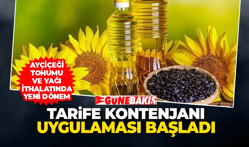 Ayçiçeği Tohumu ve Yağı İthalatında Yeni Dönem