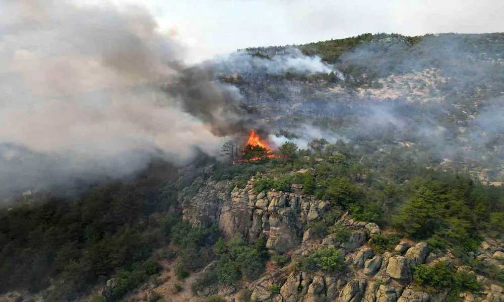 Yangın bölgesi havadan görüntülendi