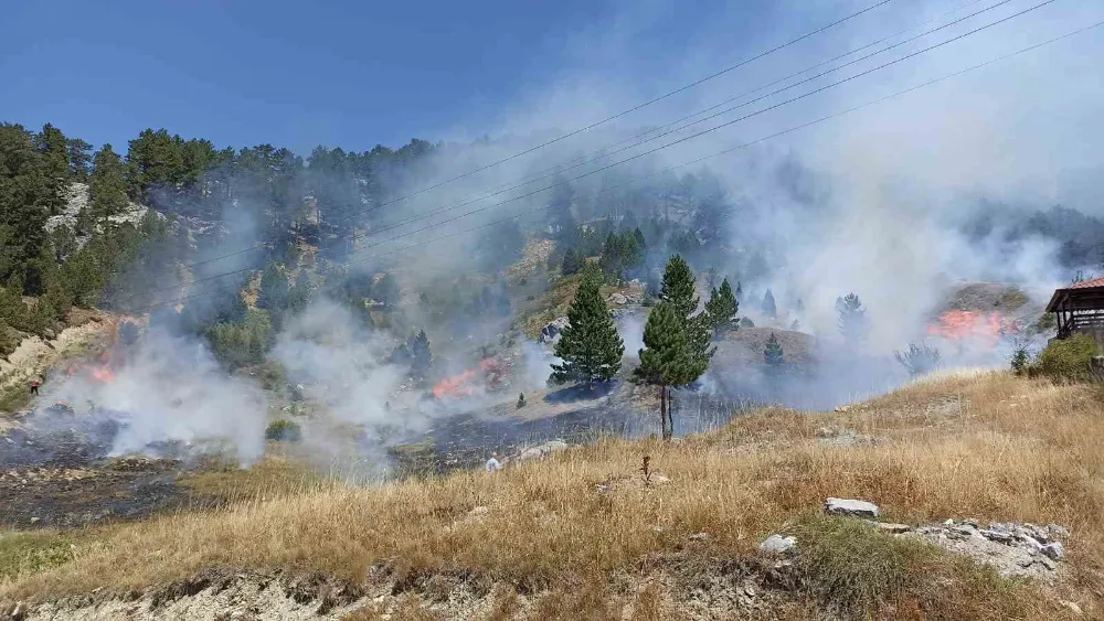 Antalya’da orman yangını