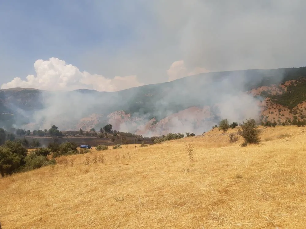 Tunceli’de çıkan yangın büyük ölçüde söndürüldü