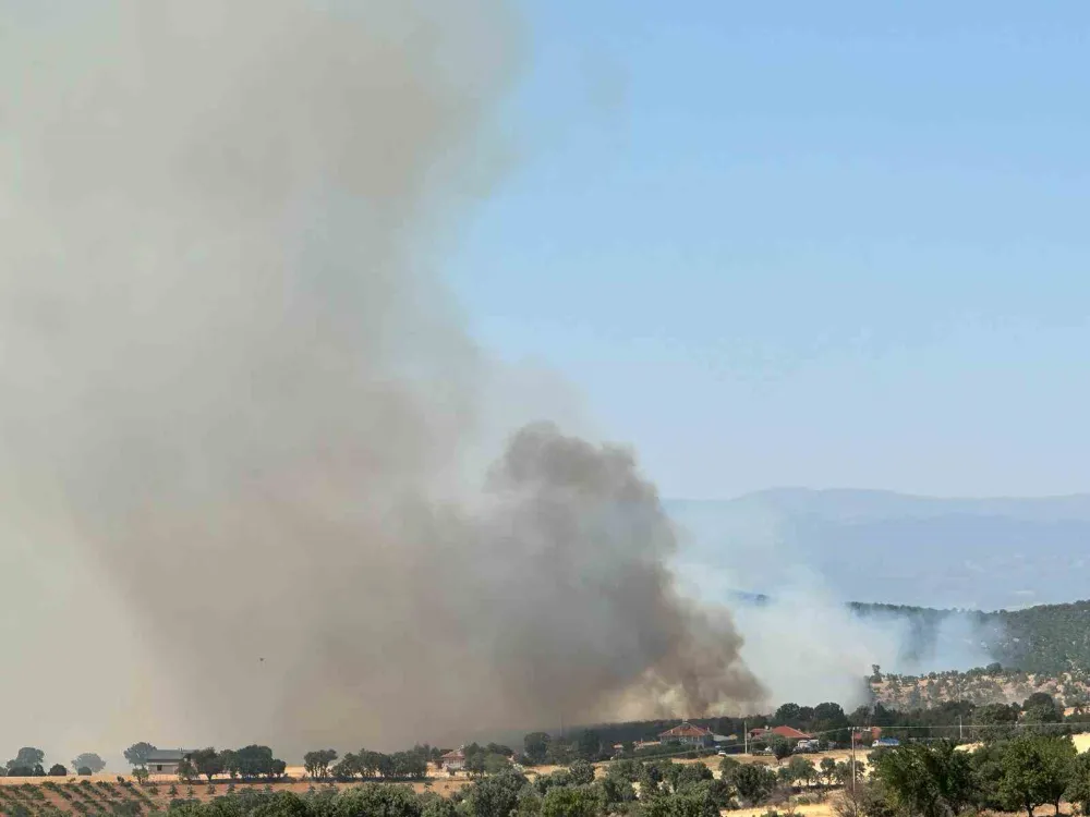 Uşak’ta meşelik alanda yangın çıktı