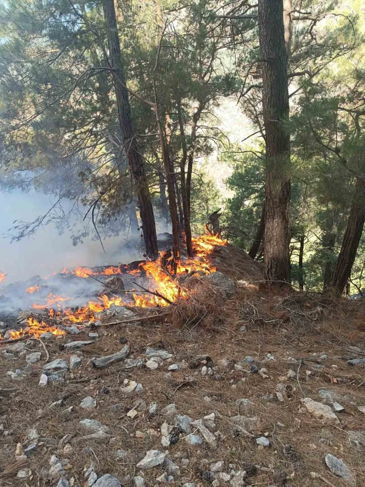 Kozan’da ormanlık alanda yangın çıktı