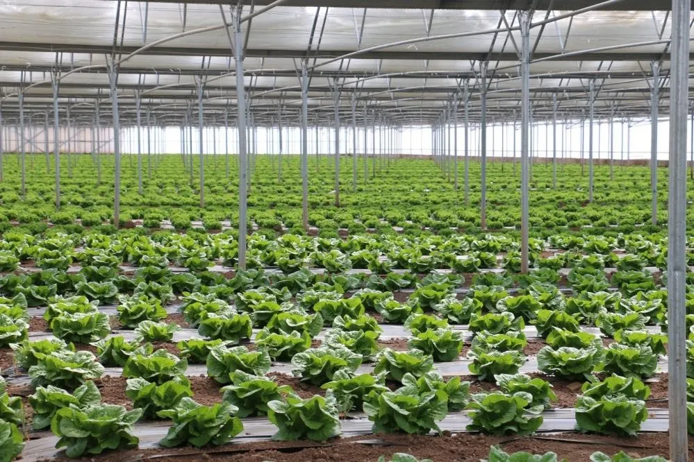 Erzincan ‘Sera Üssü