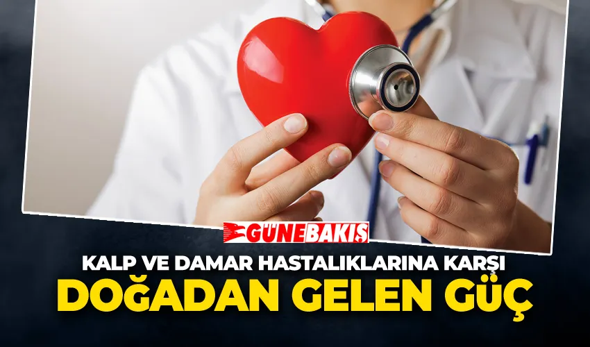 Kalp ve Damar Hastalıklarına Karşı Doğadan Gelen Güç
