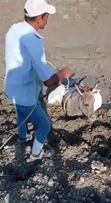 Kars’ta çamura saplanan eşek kurtarıldı