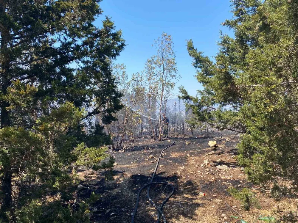 Buca’daki orman yangını kontrol altına alındı